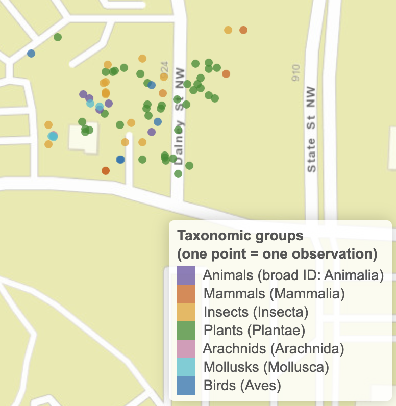 Campus biodiversity observation-point map and taxonomic-group legend