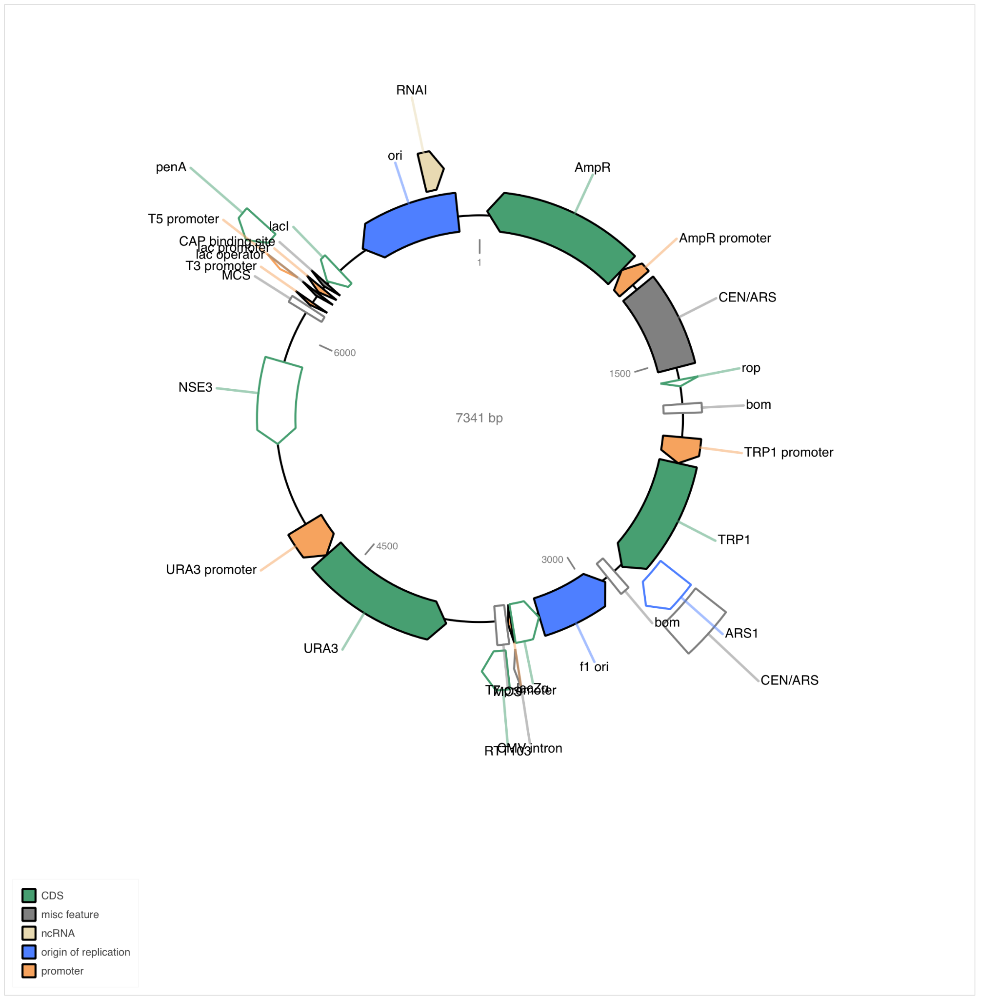 NSE3 + URA3 plasmid elements and restriction sites
