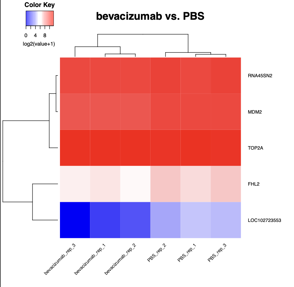 OVISE expression clustering heatmap: Bevacizumab + gamma irradiation versus PBS