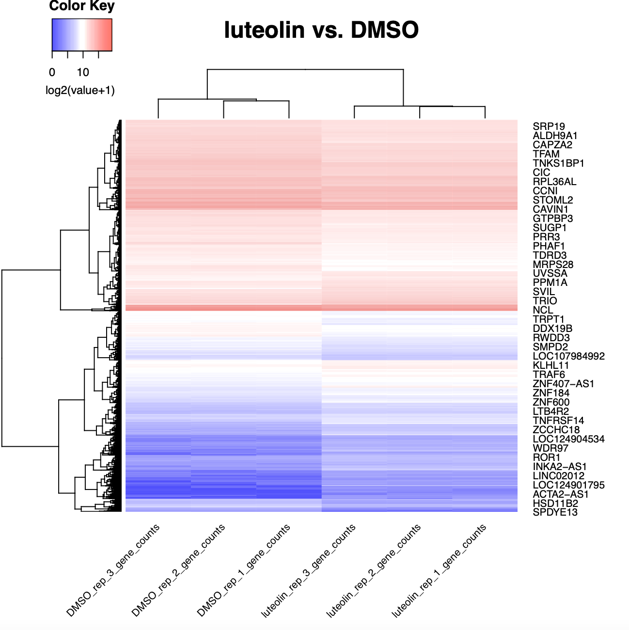 A2780 expression clustering heatmap: Six luteolin and DMSO samples