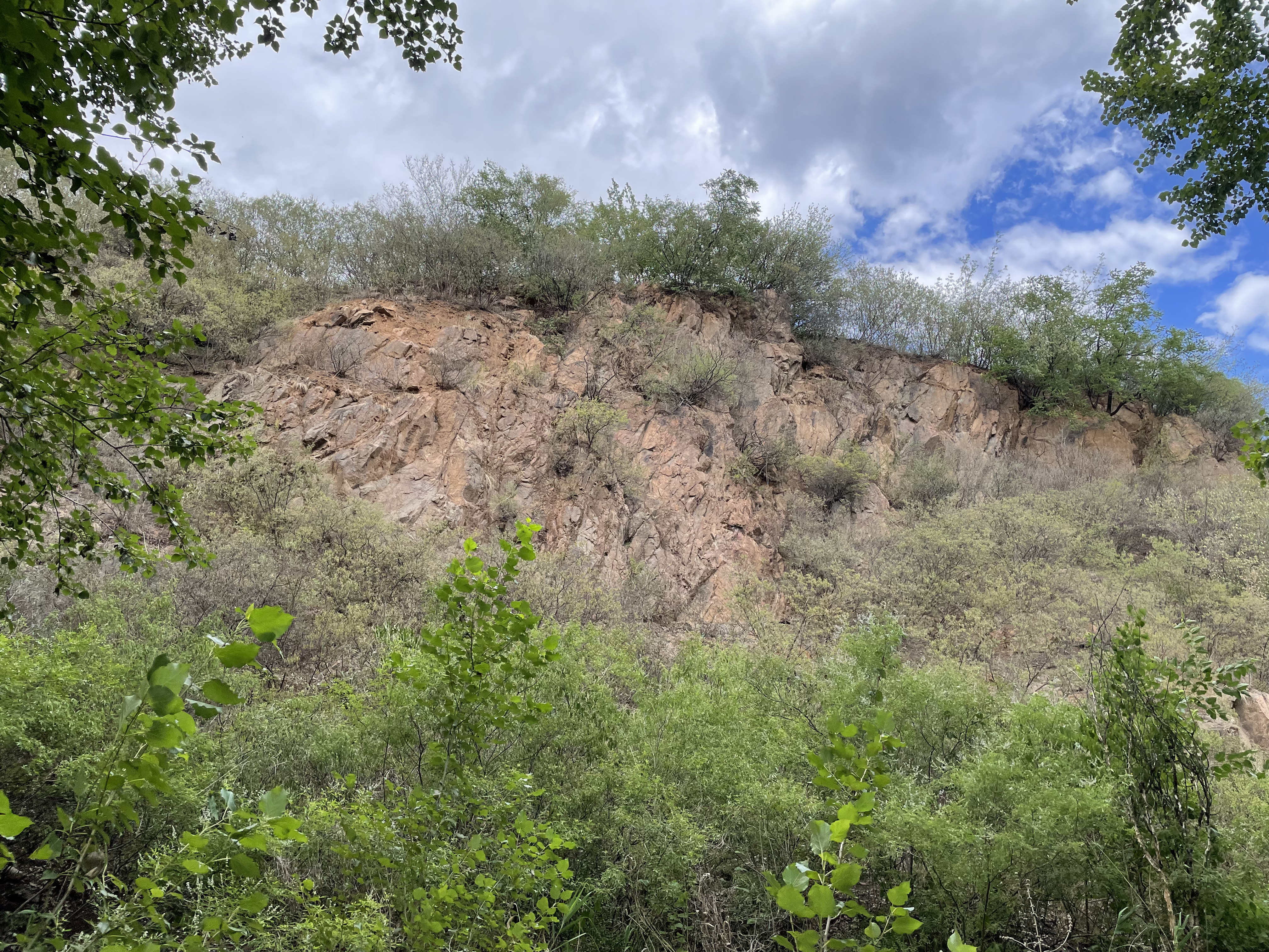 Cliff and surrounding vegetation in the suburban Beijing black stork survey